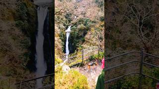 Eugenes Epic Devil’s Bridge Waterfalls Adventure 🌊🐾 [upl. by Drape371]