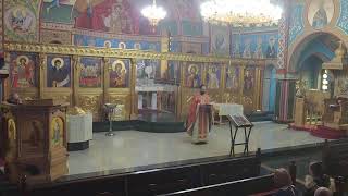 Assumption Greek Orthodox Church Live Stream [upl. by Assiroc]