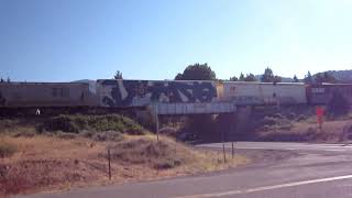 Union Pacific Freight Train at Blairsden California [upl. by Annamarie]