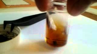 Homemade Ferrofluid 7 disolving conditioned Fe3O4 powder [upl. by Nydnarb499]