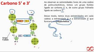 Pilula Óptica 50 Ligações DNA [upl. by Yelhs]