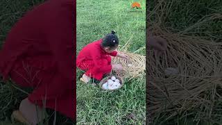 Tiny Farmer Finds a Nest Cute Egg Hunt in the Countryside babyfarmer eggfarming countryside [upl. by Presley768]