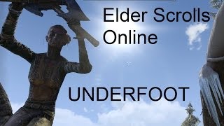 Elder Scrolls Online  Quest Underfoot [upl. by Griffin146]