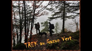 Trek Gazon Vert [upl. by Arhaz]