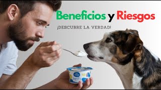 ¿Puedo darle yogur a mi perro Descubre los Beneficios y riesgos [upl. by Iran]