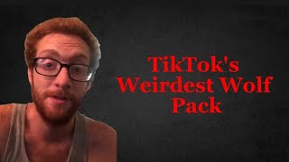 TikToks Weirdest Wolf Pack Is Scary  Wolfpack Elite [upl. by Andras]