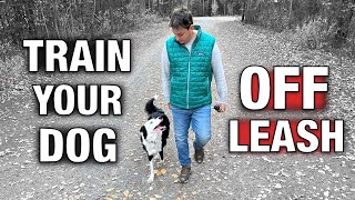 How I Trained My Dog to Listen Off Leash [upl. by Renwick253]