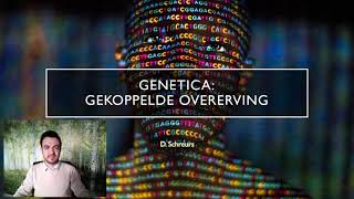 Genetica gekoppelde overerving [upl. by Gray]