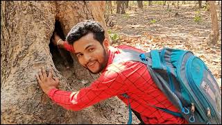 पेड़ के अंदर मोटा साप है  Man vs wild in Hindi  Man Vs Wild  Discovery  Discovery in Hindi [upl. by Smiga]