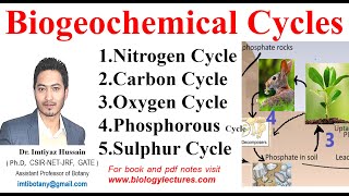 Biogeochemical Cycles nitrogencycle carboncycle Oxygen Phosphorous amp Sulphur Cycle bscbotany [upl. by Nnyltiac]