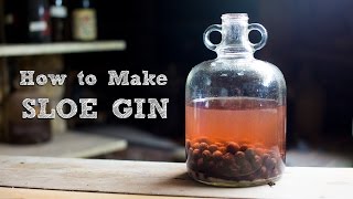 How to Make Sloe Gin  Simple and Amazing  Food It Yourself [upl. by Mona142]