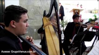 Hallelujah Shrek  Violino  Música de Casamento para Benção e Entrada das Alianças na Igreja [upl. by Ennairej311]