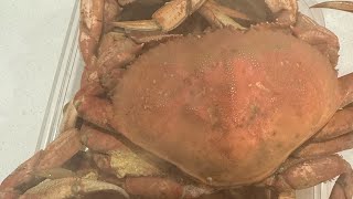 Dungenes Crabs mukbang tayo Midnight snacks😳 bisdak food crabs catchcrab mukbang [upl. by Risan]