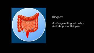 Ulcerös Kolit Akutläkarna [upl. by Russom]