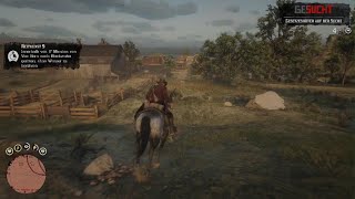 Red Dead Redemption 2  Reitkunst 9 Kapitel 2 mit Arthur  PS5 [upl. by Ahcilef]