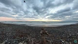 November sunrise colors  timelapse [upl. by Gninnahc]