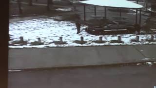 Video shows Cleveland police officer fatally shoot 12yearold Tamir Rice [upl. by Tennes940]