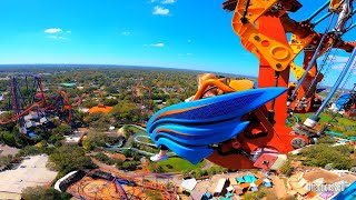 FaceFirst Dive Drop Tower Ride  Falcons Fury  Free Fall POV  Busch Gardens [upl. by Nevi]