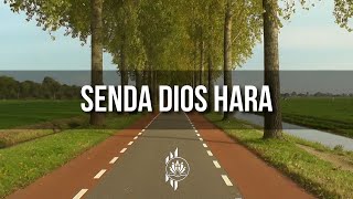 SENDA DIOS HARA  DON MOEN [upl. by Notluf791]