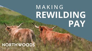 MAKING REWILDING PAY  The Kinkell Byre Story [upl. by Rimisac349]