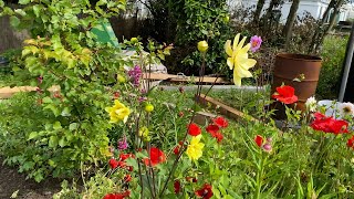 The garden in November 2024  Late Spring in New Zealand [upl. by Letsyrc]