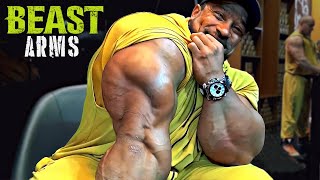 BEAST ARMS  LETS BUILD TRICEPS AND BICEPS  ROELLY WINKLAAR MOTIVATION [upl. by Anitsrhc]