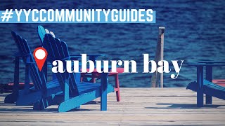 Auburn Bay SE Calgary  What is the Best Neighbourhood in Calgary  Calgary Real Estate [upl. by Pier693]