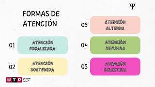 Procesos cognitivos básicos y complejos  Psicología [upl. by Witha]