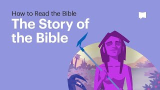 The Story of the Bible • What Its About From Beginning to End [upl. by Bald]