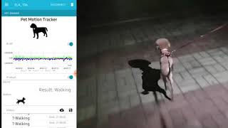 Pet Motion Tracking DEMO [upl. by Yonita156]