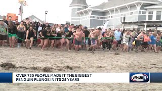 More than 750 people participate in biggest Penguin Plunge in its 25 years [upl. by Reckford233]