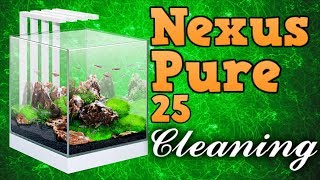 CIANO NEXUS PURE 25 FISH TANK CLEAN  FIRST ATTEMPT AT VLOGGING [upl. by Lauder606]