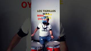 MIRA OYE LOS TIGRILLOS cover de bateria Sin fines de lucro sin derechos de autor drumming [upl. by Ahsiekat]