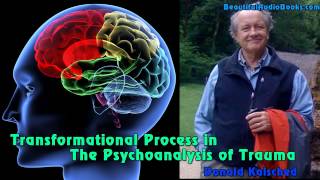 Transformational Process in the Psychoanalysis of Trauma by Donald Kalsched  part 3 [upl. by Angelis]