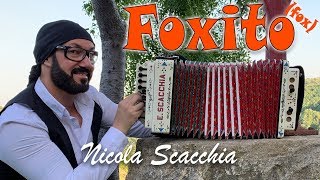 FOXITO  Nicola Scacchia e lorganetto tradizionale dubbotte acordéon fox di Di Gregorio Ruggieri [upl. by Bone318]