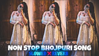 Non stop bhojpuri slowed reverb song  non stop bhojpuri song  Bhojpuri song mashup slowed reverb [upl. by Flossy312]