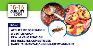 VALORISATION DES INSECTES COMESTIBLES [upl. by Atinel970]