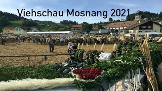 Viehschau Mosnang 2021 [upl. by Anecuza]