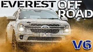 ALL NEW 2024 Ford Everest SHOCKS The Entire Car Industry [upl. by Demmy854]