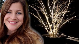 Prepping My Planters for Christmas Part 1 🎄😃 Garden Answer [upl. by Leffert]