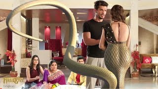 Naagin  Ritik Reveals The Body Of Naagin Shivanya  Episode 50  Colors TV  Voot720PHD [upl. by Jarrell439]