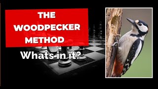 The woodpecker method Chessable course [upl. by Krucik]