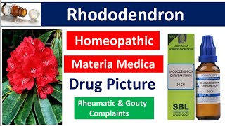 Rhododendron Homeopathic Medicine  Drug Picture  Materia Medica bhms [upl. by Sana802]