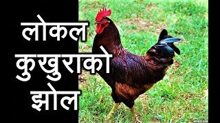 लोकल कुखुराको झोल  Local chicken soup  Nepali style [upl. by Kutzenco]