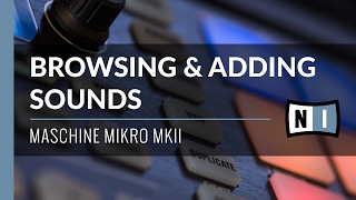 Browsing amp Adding Sounds  Maschine Mikro MkII [upl. by Nodnelg649]