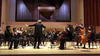 Sinfonia from Cantata 29 Partita No 3 in E Major  Bach [upl. by Marmawke]