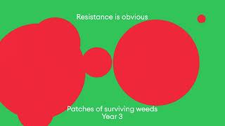 How does herbicide resistance occur [upl. by Sylram]