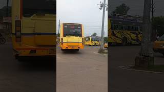 Pattukottai TNSTC Depots palani 134A BS6 BUS vs Pattukottai Orathanadu Thanjavur vpr bus one by one [upl. by Ylrebnik]