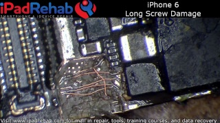 iPhone 6 Long Screw Damage [upl. by Damalas]