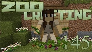 Seedling Sorting System 🐘 Zoo Crafting Episode 145 Zoocast [upl. by Enyawad736]